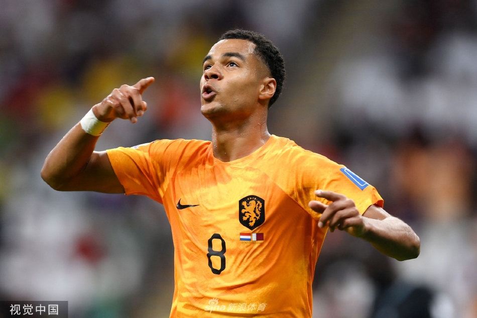 [世界杯]荷兰2-0卡塔尔头名出线 加克波建功
